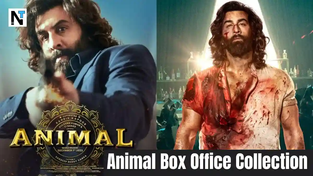 Animal Box Office Collection Day 7 रिलीज के सातवें दिन भी जमी रही